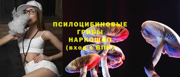 прущая мука Верея