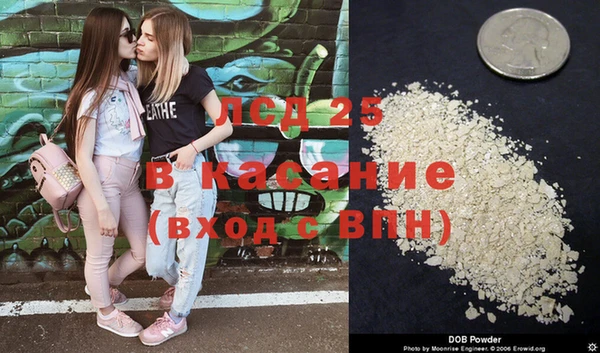 прущая мука Верея