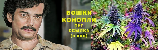 прущая мука Верея