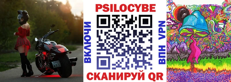 OMG tor  Владикавказ  Псилоцибиновые грибы Cubensis 